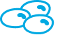 Tarwi